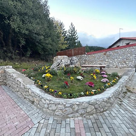 Parnassos Chalets Arachova Extérieur photo